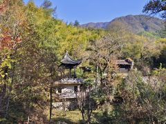 -塔川景区