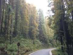 -山王坪喀斯特国家生态公园
