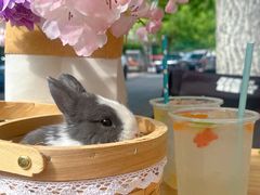 -大象厨房(重庆道店)