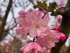 -广富林郊野公园