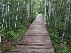 -北极村旅游风景区