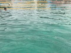 -柳浪游泳场