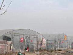-喜杨洋草莓采摘园