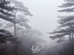 -黄山白云宾馆