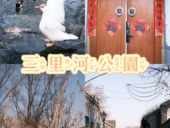 -三里河公园