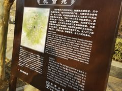 -白佛山景区