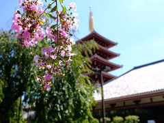 -浅草寺
