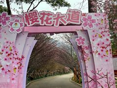 -牛鱼嘴原始生态风景区