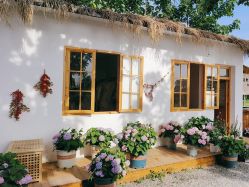 -DORA kids 朵拉儿童摄影花园店