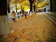 -四川大学(华西校区)