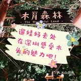 感受木头的魅力，深圳儿童乐园好去处～