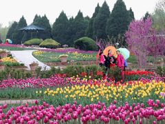 -石家庄市植物园