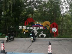 -泗洪洪泽湖湿地景区