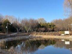 -东升八家郊野公园