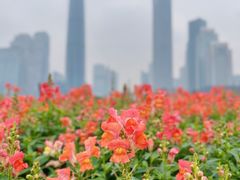-海心沙亚运公园