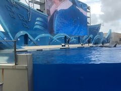 -上海海昌海洋公园