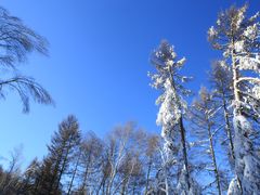 -中旅松花湖滑雪场
