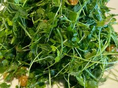 -No.DD戳子烧烤·江湖菜(北京总店)