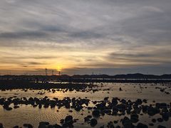 -长江澳风力发电景观区
