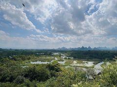 -会仙湿地