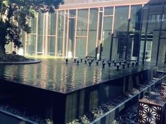 -上海崇明金茂凯悦酒店