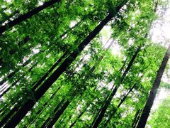 -南京金牛湖风景区