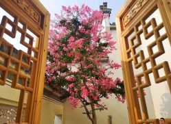 -龙子湖迎宾馆·宴会