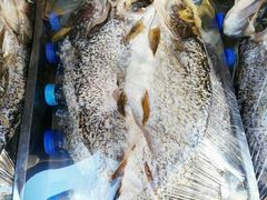 -新疆风味冷水鱼庄(友谊峰路店)