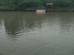 -溱湖国家湿地公园