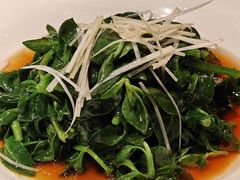 白灼田七苗-天辣(金桥啦啦宝都店)