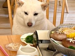 -柴の食堂·日式家庭料理·熊之肆(大学路店)