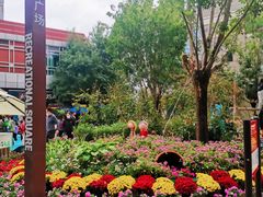 -中粮·祥云小镇