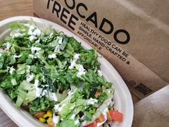 -油梨树AVOCADO TREE(嘉里中心店)