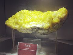 -甘肃地质博物馆