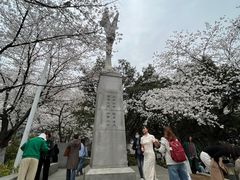 -武汉大学-樱园