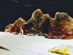 -瓷语堂(上海五维空间创意园店)