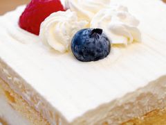 动物奶油小方-梦菲思饼屋(瑞金宾馆店)