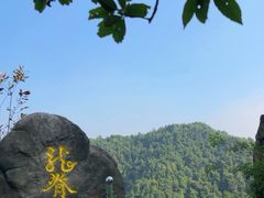 -南山植物园