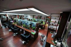 android_upload_pic-小左美发