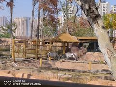 -武汉动物园