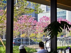 -深圳湾万象城(南山店)