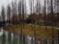 -昆山城市生态森林公园