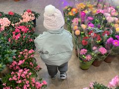 -双季花艺园艺市场(浦东店)