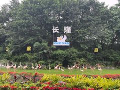 -广州长隆飞鸟乐园