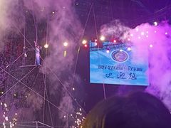 -灵玲国际马戏城