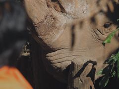 -普洱太阳河森林公园