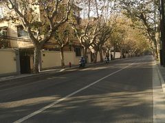 -% Arabica阿拉比卡咖啡(武康路店)