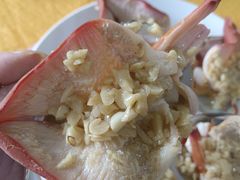 -蚝专家(北滘店)