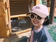-松鼠王国