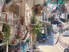 -溪岸路花鸟市场